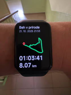 Grafické znázornenie odbehnutej trasy